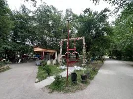 Qirmizi Qerenfil