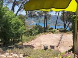 Panoramic lake view