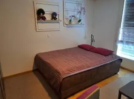 Zimmer Möbliert Uznach