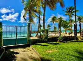 Sur la plage coco, au bord du lagon de Ste Anne