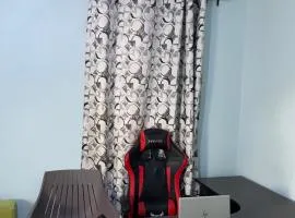 MSF BACHELOR PAd
