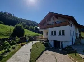 Ferienwohnung Traisen Has