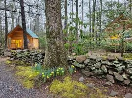 Smoky Mountain Retreat - 2 Cabins