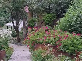 Green House - მწვანე სახლი