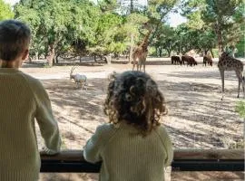 Badoca Safari Glamping Experience