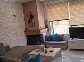 L D House Lagonisi