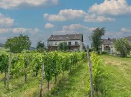 Hermes-Lex Weingut