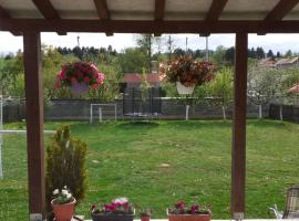 Holiday home Sarajevo, Hotel in Vidovci