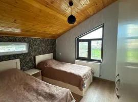 Geo's House