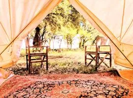 Glamping Grignan 3 personnes vue exceptionnelle