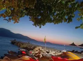 Dejvi Jet Ski