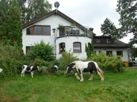 Bushof - Leben auf dem Land