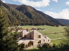 Eco Chalet Blasla