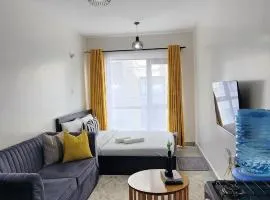 Bobo's Spacious Studio Apartment