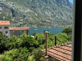 Apartman Elena
