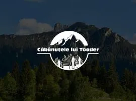 Cabanutele lui Toader