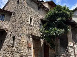 Il nido di Matilde