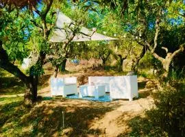Casa Isabella- Barbecue, Giardino