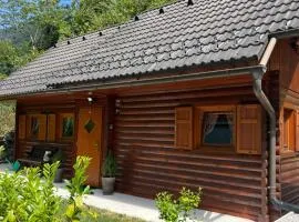 Cottage Ladybug