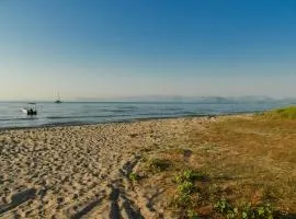 50 Steps From the Sea