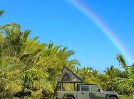 Embark on a journey through Maui with Aloha Glamp's jeep and rooftop tent allows you to discover diverse campgrounds, unveiling the island's beauty from unique perspectives each day