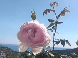 TraMonti e Mare, vistamare giardino, ideale famiglie
