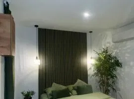 Studio cosy cœur de ville