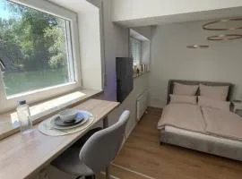 Cozy studio apartment