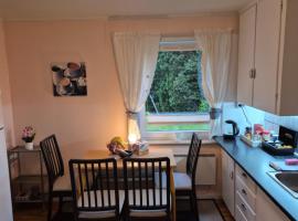 Koselig to roms leilighet