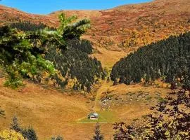 Hacijenda Bogavac, Dolovi Lalevica