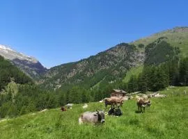 Agriturismo Malga Pontevecchio
