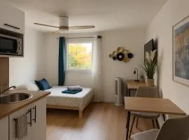 Studio vieux Avignon et Parking
