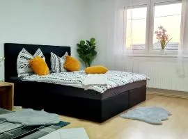 Central apartment in LINZ