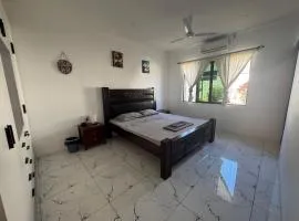 Deluxe Guesthouse Nearby Nadi International Airport