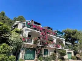 Apartments by the sea Zaklopatica, Lastovo - 13214