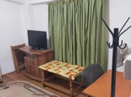 Elena camere de Inchiriat