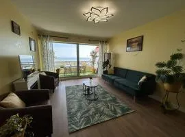 Appartement rénové 2 pièces avec WiFi en bord de mer - FR-1-224C-356