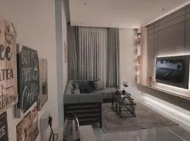 شقه فندقيه غرفه وصاله مريحه