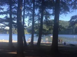 The Owls Nest at Westwood Lake