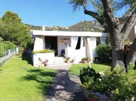 villa andrea