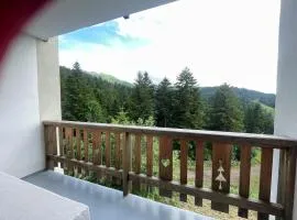 Superbe Appart aux pieds des pistes de ski avec balcon-parking et casier