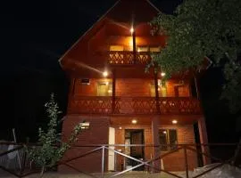 Cozy house