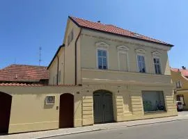 Apartmány U Devíti Lvů