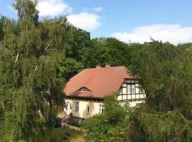 Dünenmeisterei Whg "Tulpe"