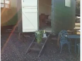 Nathans Shepherd's Hut