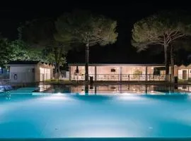 International Camping