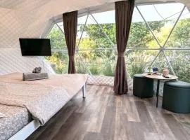 Lemon Tree Dome House