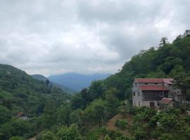 In the Forest, hotel v destinaci K'vemo Jocho