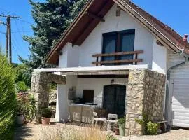 Panorama Vine House