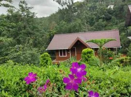 Don's River Valley Jungle Resort